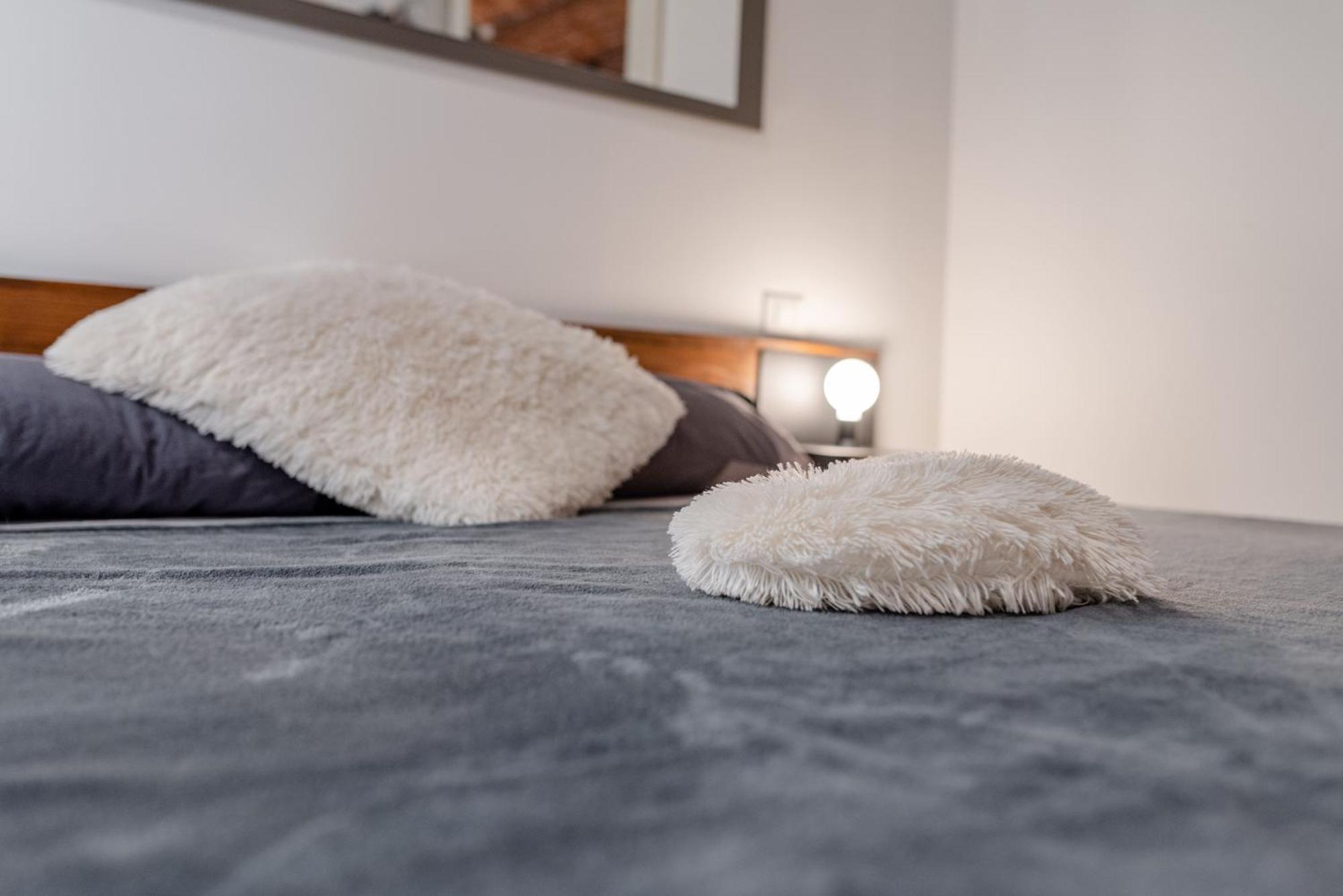 Suite & Queen Apartments Turin Bagian luar foto